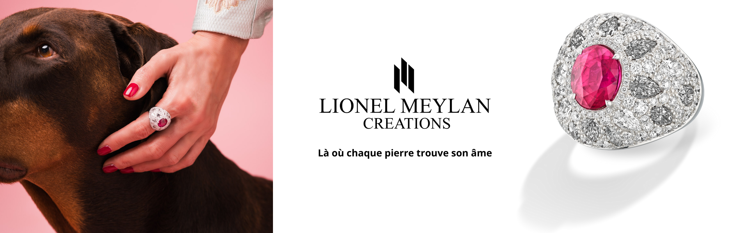 Bannière de la marque